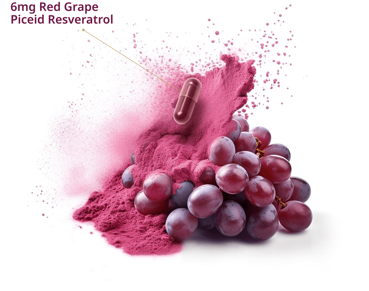 The Health Benefits of
1000 Grapes in Each Serving