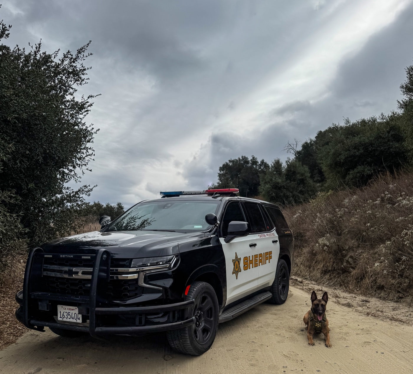 Riverside County Sheriff patrol vehicle with K9 partner