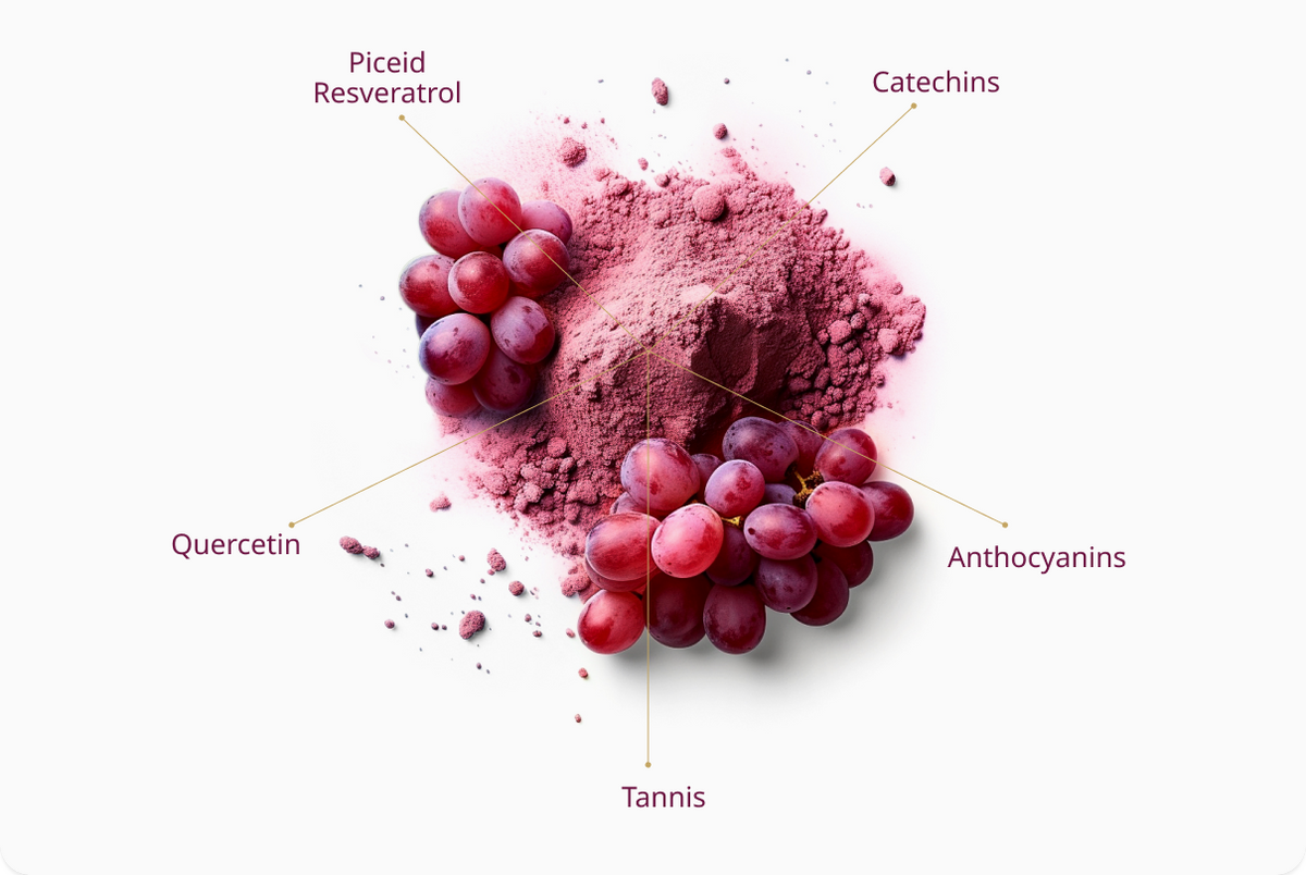 Our Powerful
Polyphenols