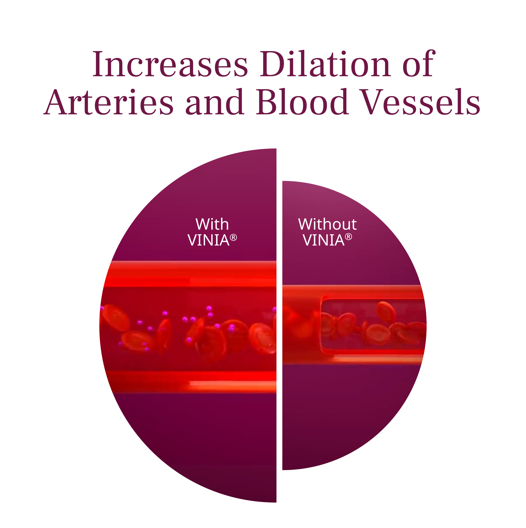 Could Vinia Be Harming Your Blood Flow?  Side Effects Investigated - yh8gljg