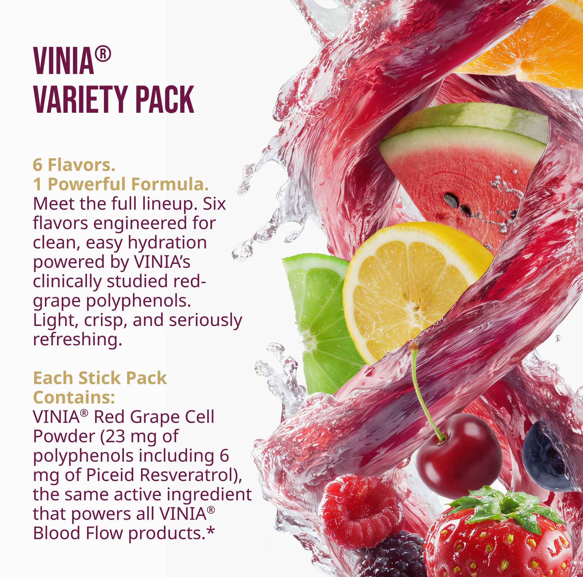 VINIA® Hydration Variety Pack