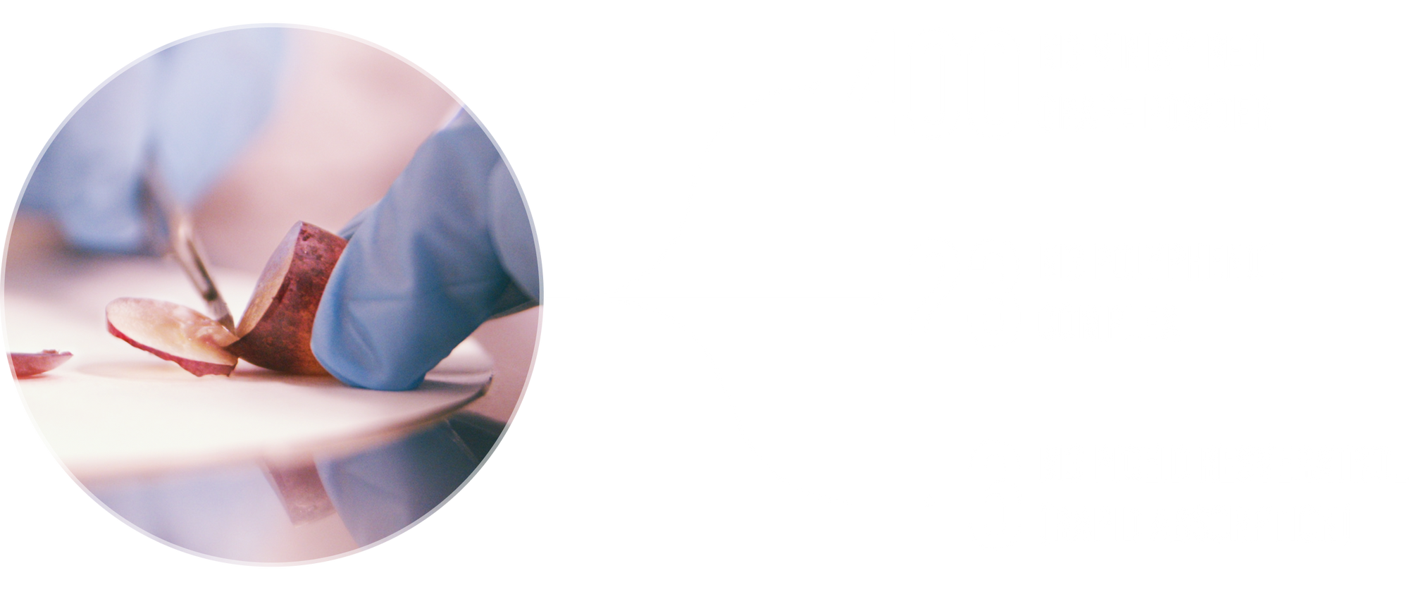 Booster Section Image