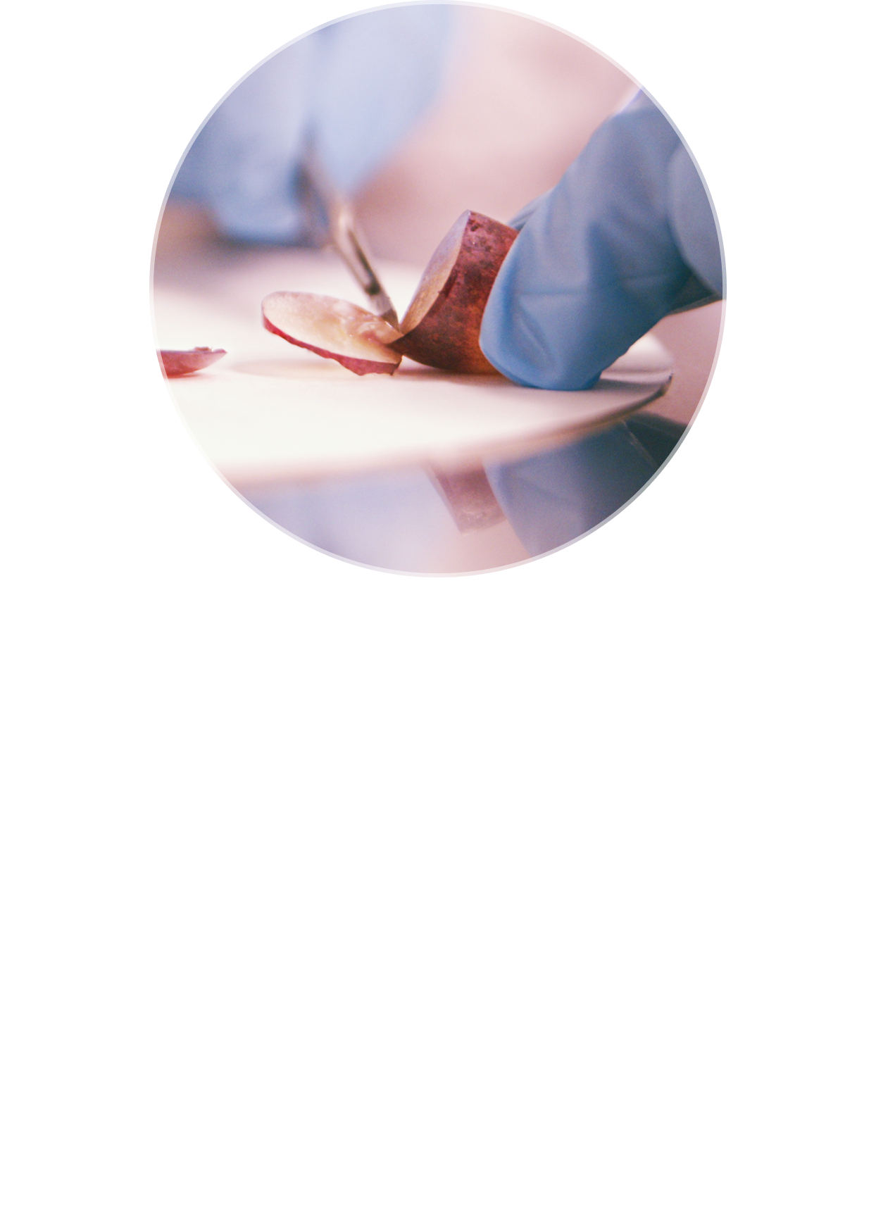 Booster Section Mobile Image