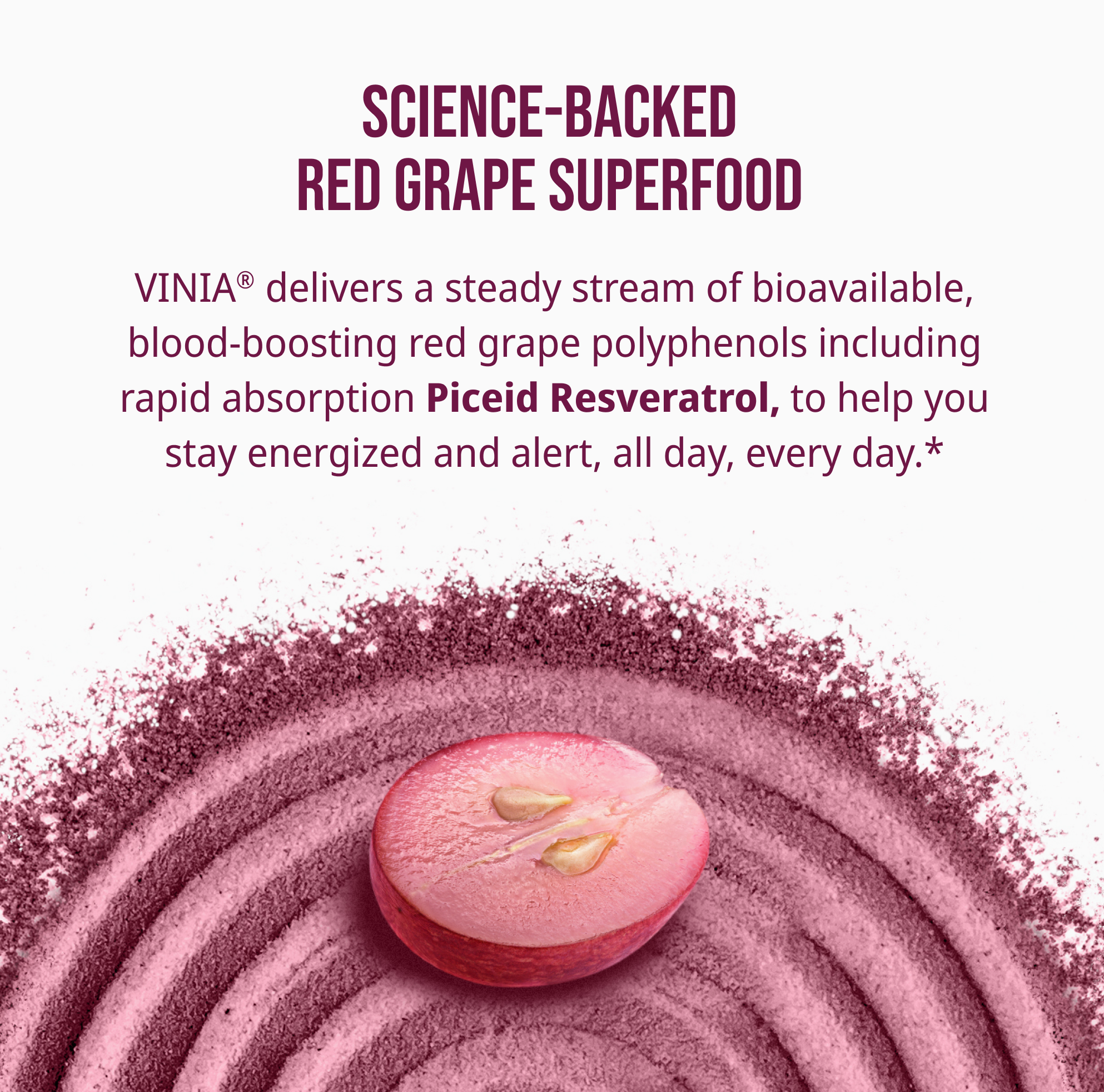 VINIA® Hydration Variety Pack