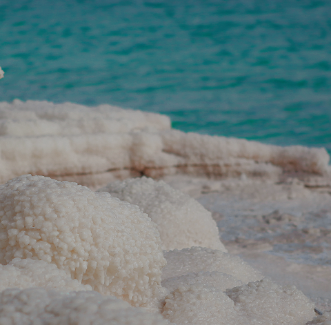 mg Sodium<br>(Sea Salt)