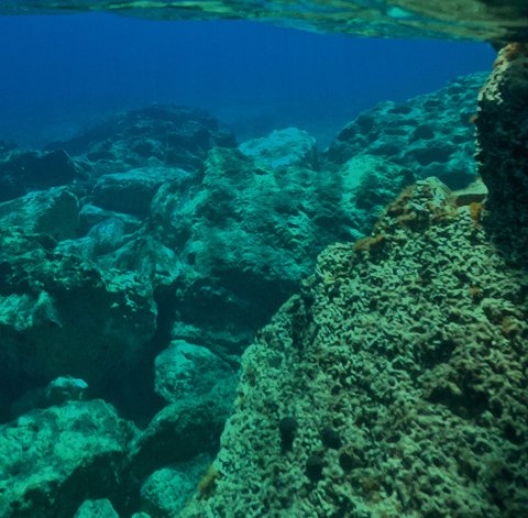 mg Marine Magnesium<br>(Ocean Beds)