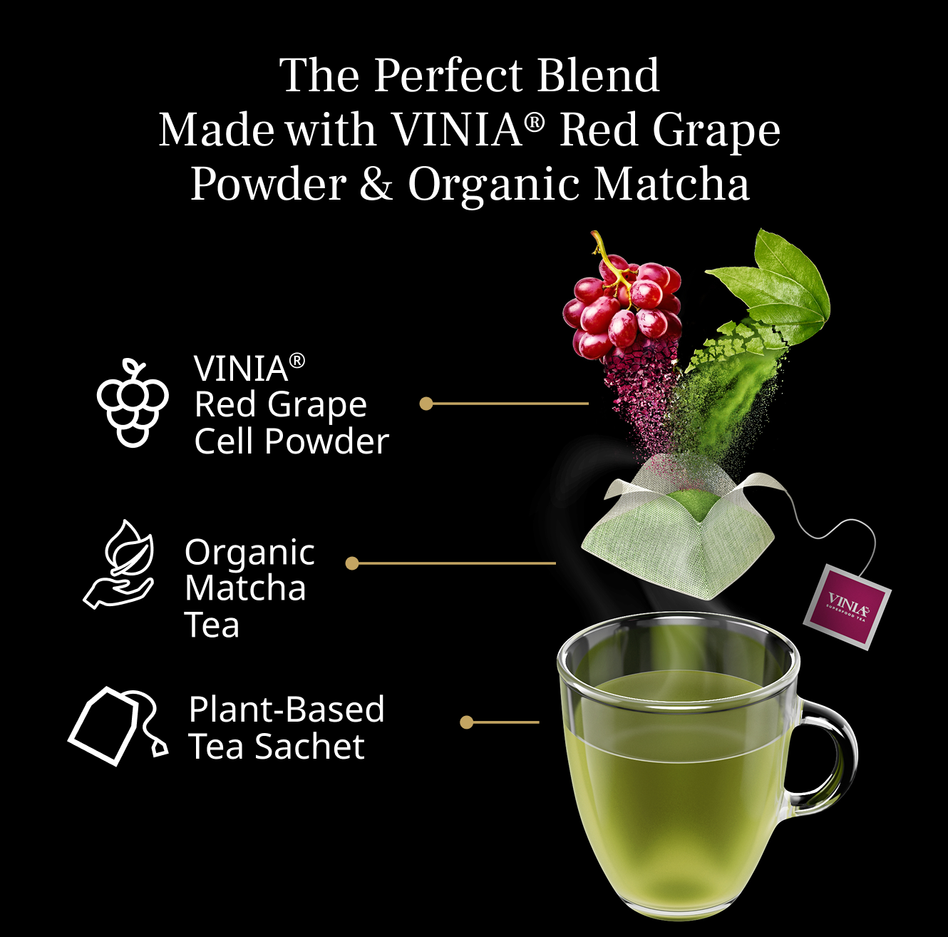 files/matcha-2.png
