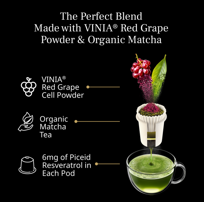 files/matcha-cup3.png