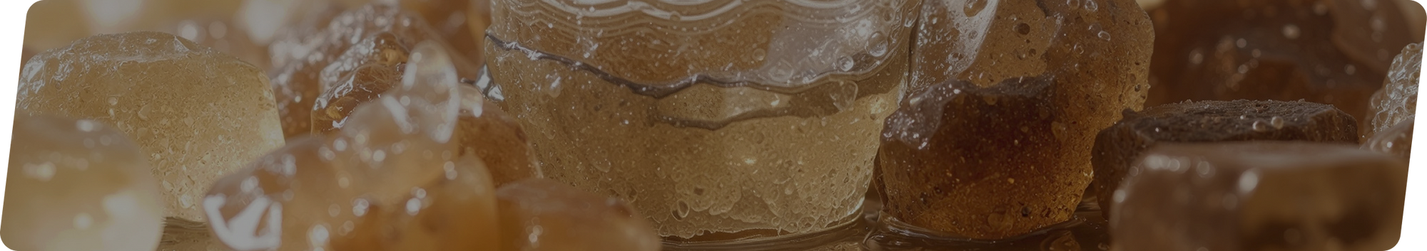 WHY A LITTLE SUGAR MATTERS?