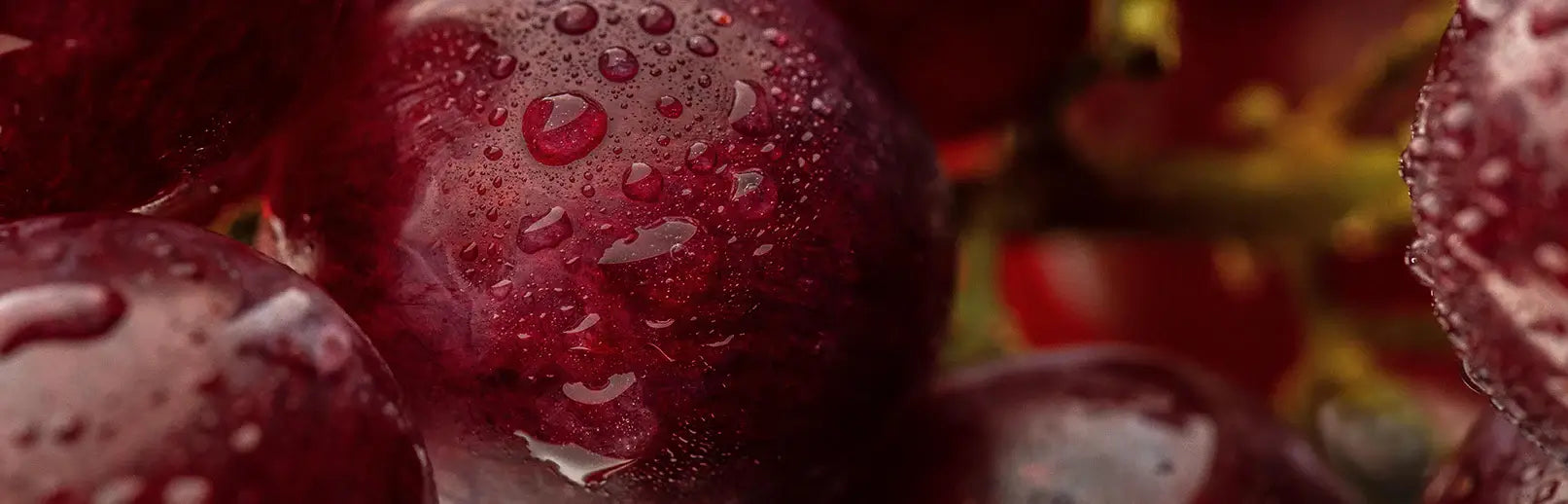 Red Grape With Water Drops Close Up Banner